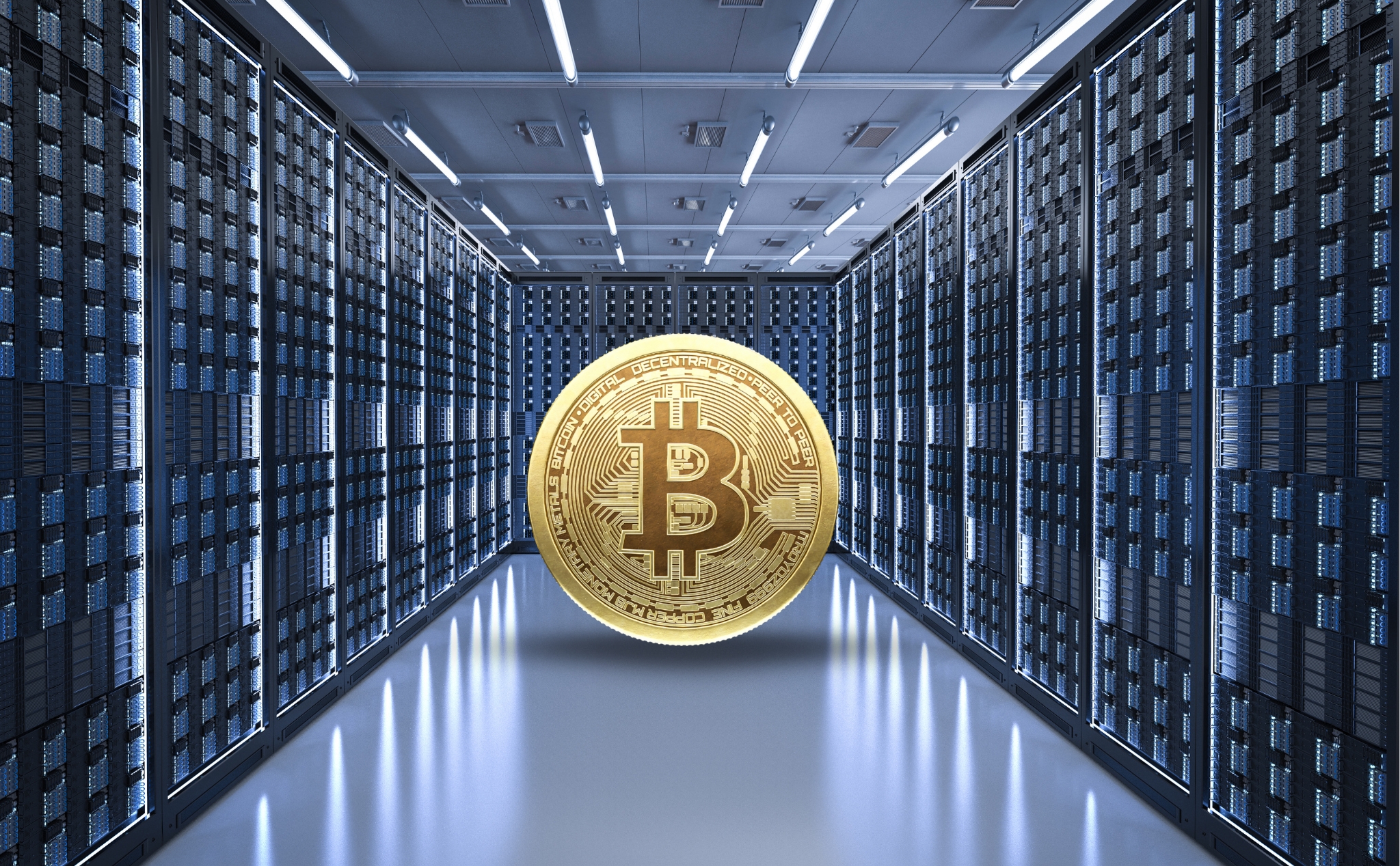 BTC-hosting-containers